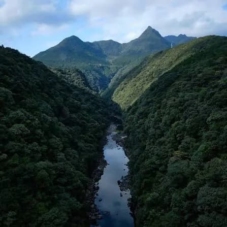 鹿児島から屋久島へフェリーで渡る方法|フェリー屋久島2の時刻・運賃を解説