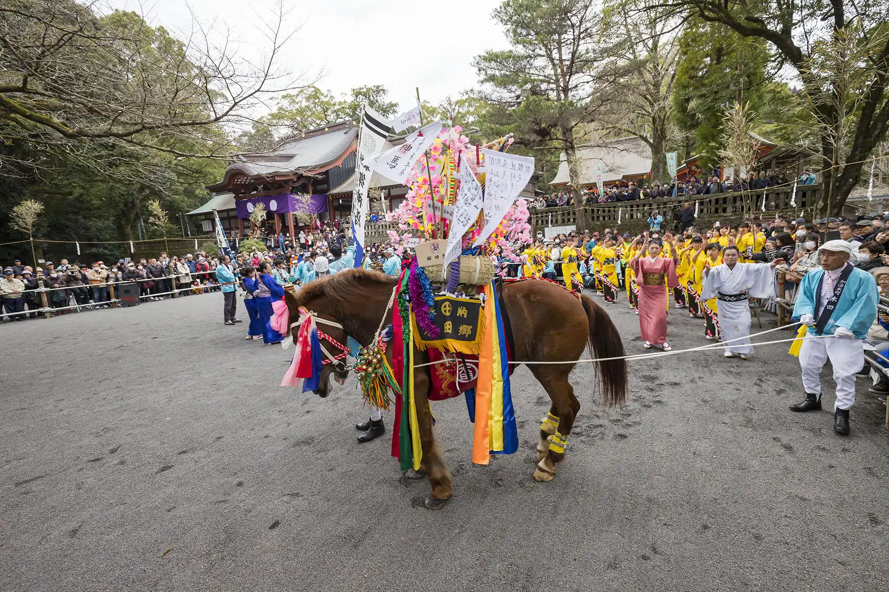 霧島・鹿児島神宮の初午祭 鈴かけ馬踊りが舞う春祭りの見どころ
