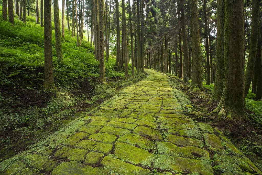 龍門司坂の石畳を歩く|西郷どんロケ地の苔むす古道アクセスガイド