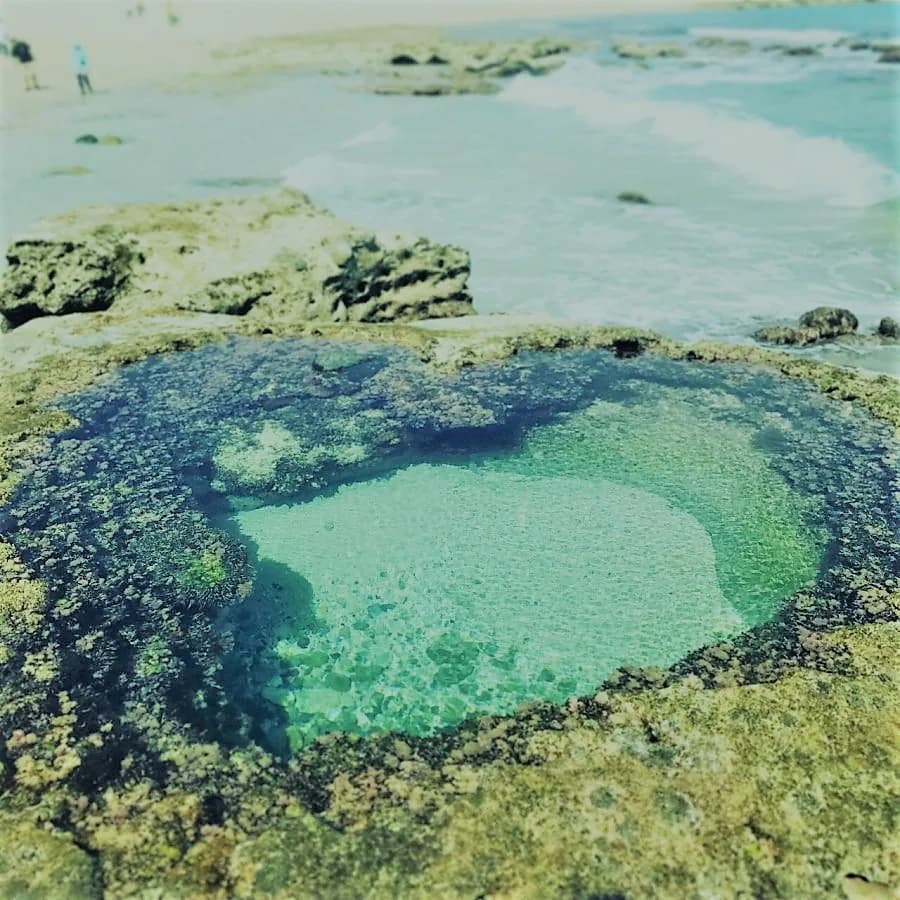 奄美大島の古民家・一棟貸しの宿|静かに過ごす島時間ステイ
